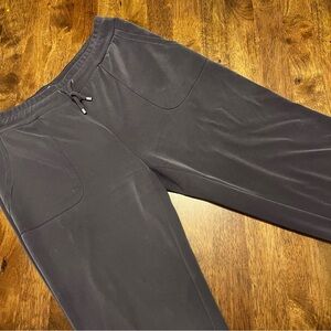 Chicos Zenergy Pull On Pants SZ 1R 8-10 Grey Modal Gray Ankle Casual Athleisure